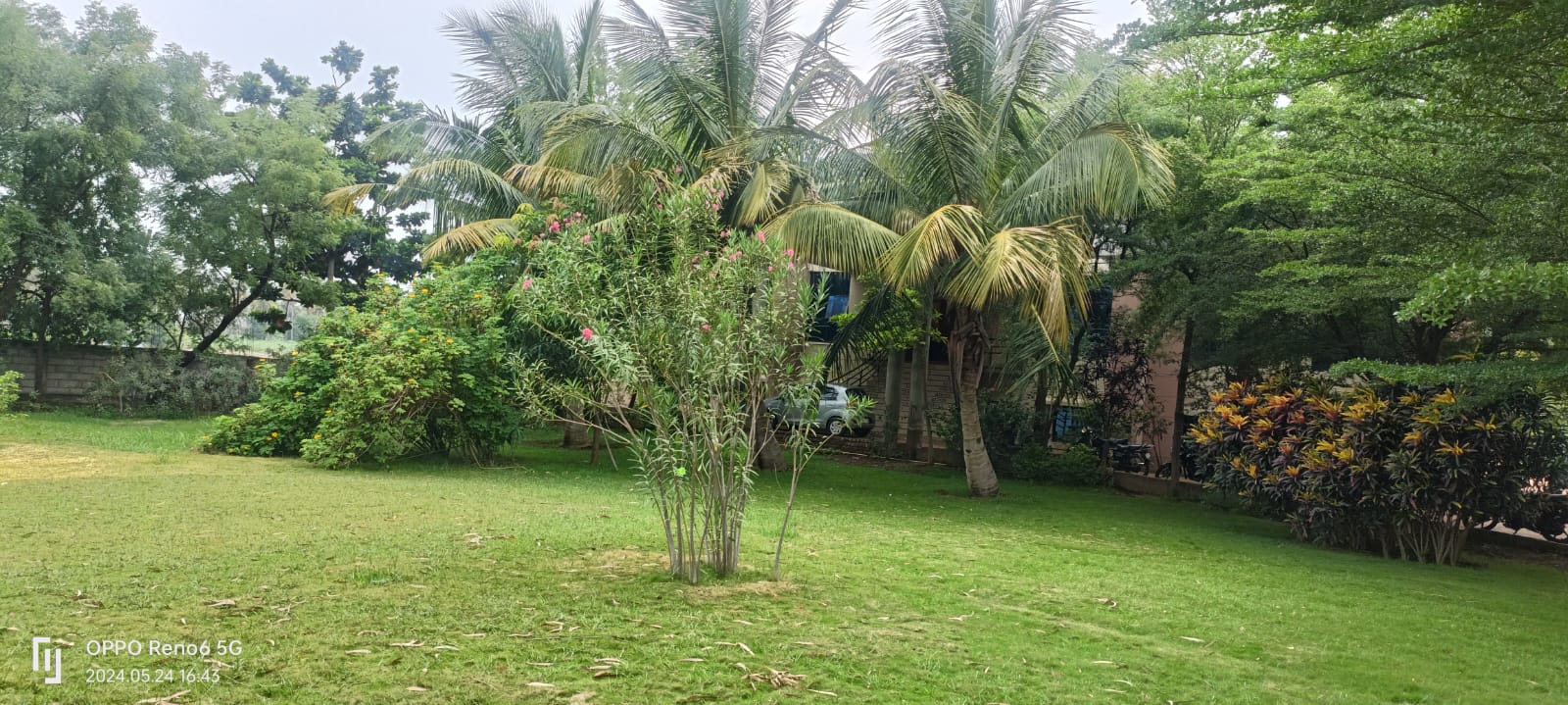 vidyabhavan pu college gallery 2